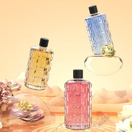 🌿 DIFFUSEUR DE PARFUM AUTOMATIQUE – MURAL & PORTABLE